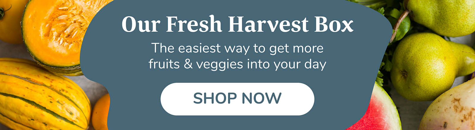 Our fresh harvest box. The easiest way to get fruits and vegetables into your day.