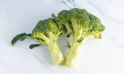 Organic Broccoli- Code#: PR100053NCO
