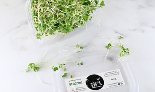 Local Microgreens, Broccoli - Compostable materials- Code#: PR147368LCN