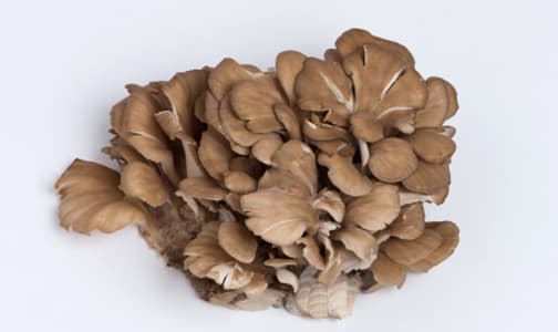 Organic Mushrooms, Maitake- Code#: PR217223NCO