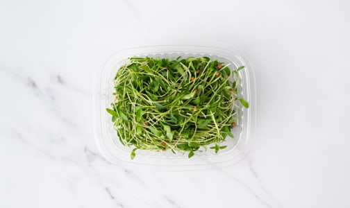 Local Microgreens, Cilantro - Compostable materials- Code#: PR147741LCN