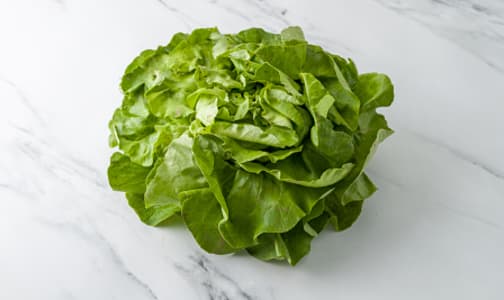 Organic Lettuce, Butter - Green/Red- Code#: PR100147NCO