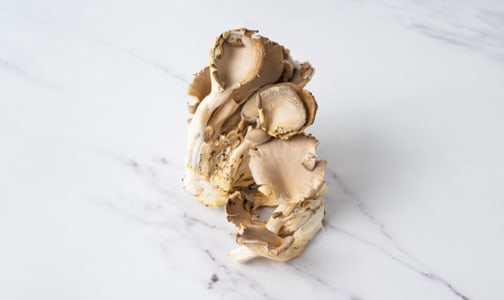 Organic Mushrooms, Oyster- Code#: PR100171NPO