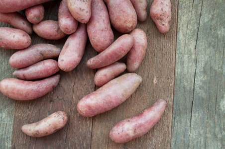 Local Organic Potatoes, Fingerling - Yellow/Red- Code#: PR144475LPO
