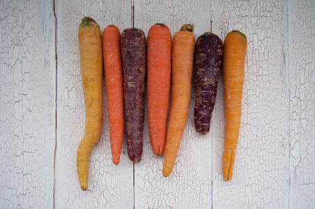 Local Carrots, Mixed Colour - Leffers Organic- Code#: PR147256LPO