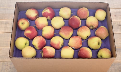 Organic Apples, Ambrosia, Case- Code#: PR101061NPO