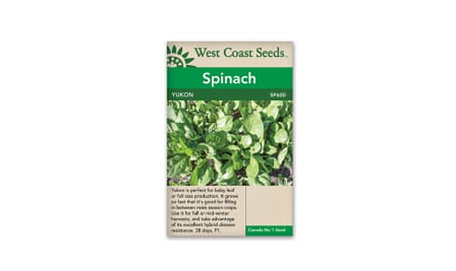Yukon Baby Leaf Spinach Seeds- Code#: BU1095