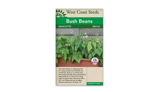 Mascotte Bean Seeds- Code#: BU1101