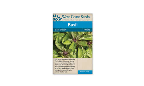 Siam Queen Thai Basil Seeds- Code#: BU1102