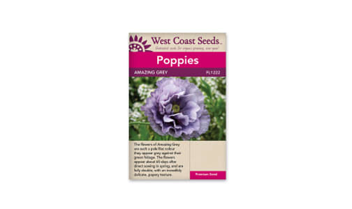 Amazing Grey Poppy Flower Seeds- Code#: BU1110