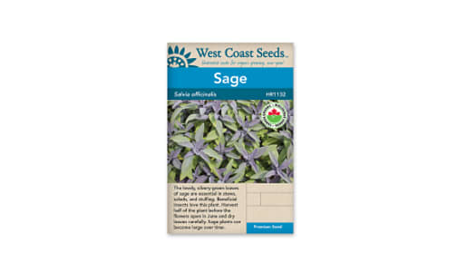 Organic Sage Seeds- Code#: BU1120