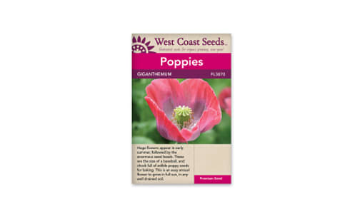 Giganthemum poppy Flower Seeds- Code#: BU1125
