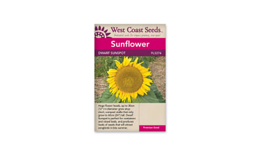 Dwarf Sunspot Flower Seeds- Code#: BU1127