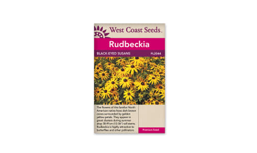 Black Eyed Susans Flower Seeds- Code#: BU1128