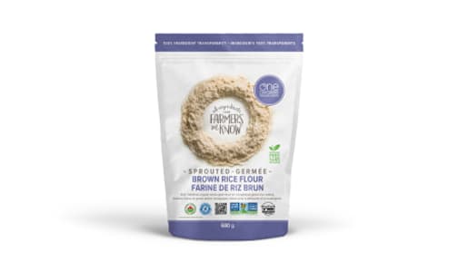 Gluten Free Organic Sprouted Brown Rice Flour- Code#: BU1194