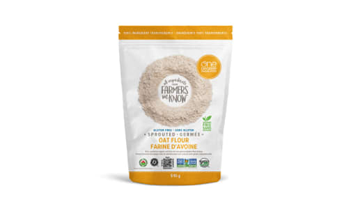 Gluten Free Organic Sprouted Oat Flour- Code#: BU1195