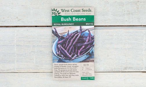  Royal Burgundy  Bush Bean Seeds- Code#: BU1763