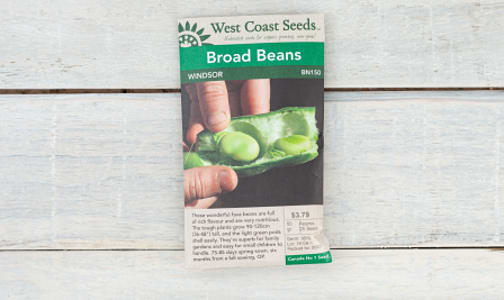  Windsor  Broad Bean Seeds- Code#: BU1767