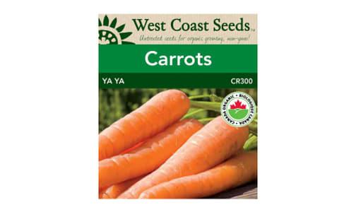 Organic  Ya Ya  Carrot Seeds F1- Code#: BU1794
