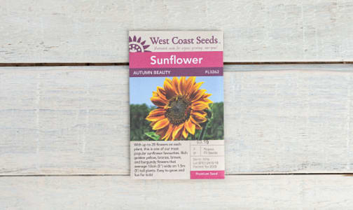  Autumn Beauty  Sunflower Seeds- Code#: BU1807