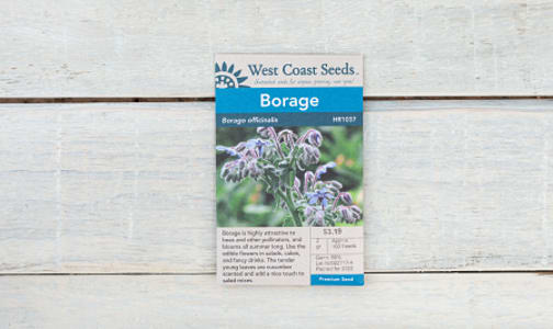Borage Seeds- Code#: BU1826