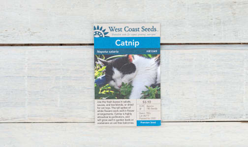 Catnip Seeds- Code#: BU1827