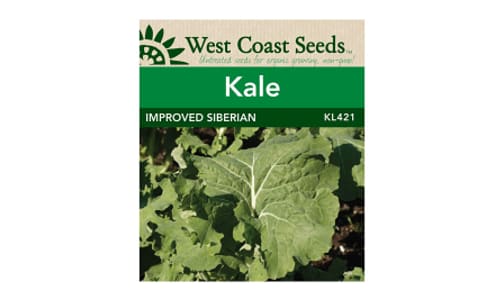 'Improved Siberian  Kale Seeds (OP)- Code#: BU1840