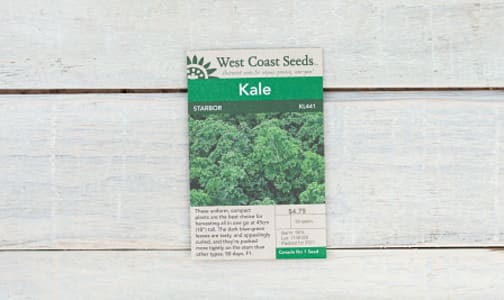  Starbor  Kale Seeds F1- Code#: BU1844