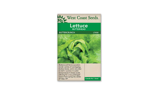 Buttercrunch Lettuce Seeds (OP)- Code#: BU1848