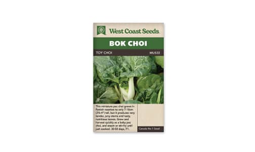 Toy Choi - Bok Choy Seeds F1  Seeds- Code#: BU1863