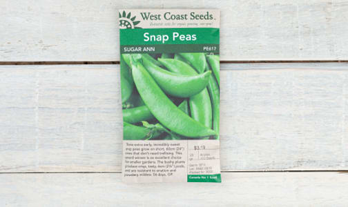  Sugar Ann  Pea Seeds (OP)- Code#: BU1869