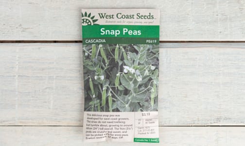  Cascadia  Snap Pea Seeds- Code#: BU1871