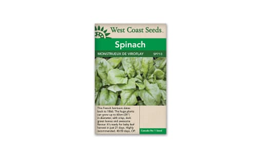  Monstrueux de Viroflay  Spinach Seeds- Code#: BU1891