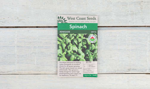 Organic  Renegade  Spinach Seeds F1- Code#: BU1892