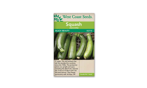  Black Beauty  Zucchini Seeds (OP)- Code#: BU1895