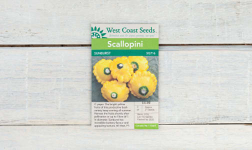 'Sunburst  Zucchini Seeds- Code#: BU1896