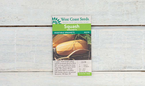 C.pepo Spaghetti Squash Seeds- Code#: BU1897