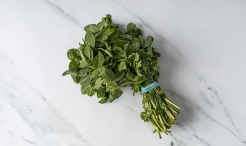 Local Methi (Fenugreek), BC Grown- Code#: PR217247LCN