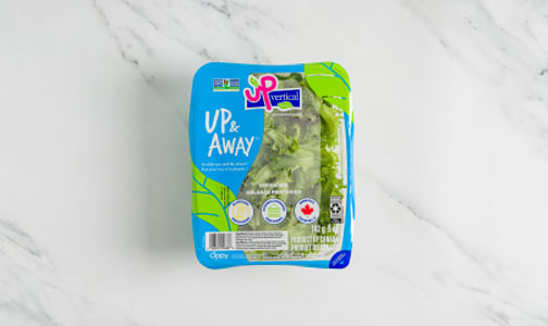 Local UP Salad Greens, Up and Away- Code#: PR217618LCN