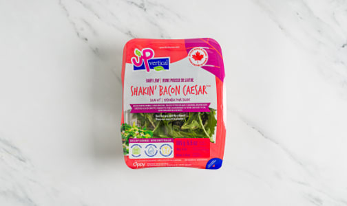 Local UP Salad Kit, Shakin' Bacon Caeser- Code#: PR217622LCN