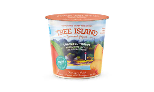 Okanagan Peach Yogurt- Code#: DA0038