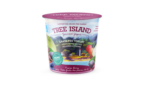 Prairie Berry Yogurt- Code#: DA0039