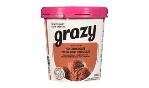 So Chocolate Ice Cream- Code#: DA0278