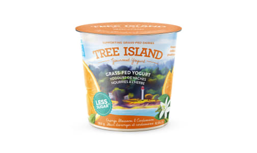 Grass Fed Orange Blossom Yogurt- Code#: DA0378