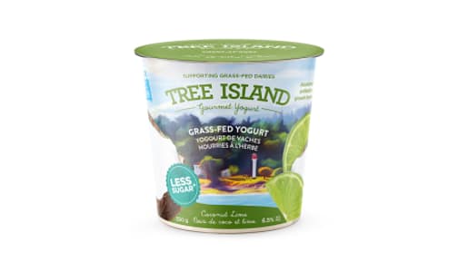 Coconut Lime Yogurt- Code#: DA0379