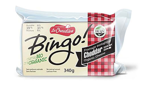 Organic Bingo! Cheddar Extra Old- Code#: DA0786