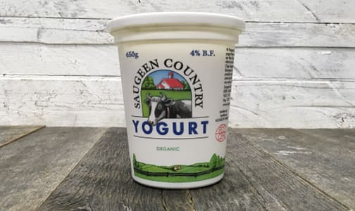 Plain Yogurt- Code#: DA366