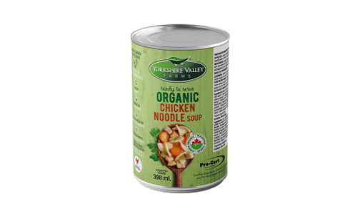 Organic Canned Chicken Noodle Soup- Code#: DN0181