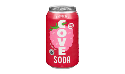 Organic Probiotic Soda Raspberry- Code#: DR1492