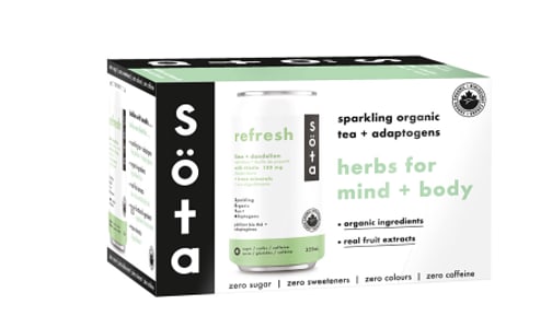 Organic REFRESH - Sparkling Organic Tea + Adaptogens- Code#: DR2612